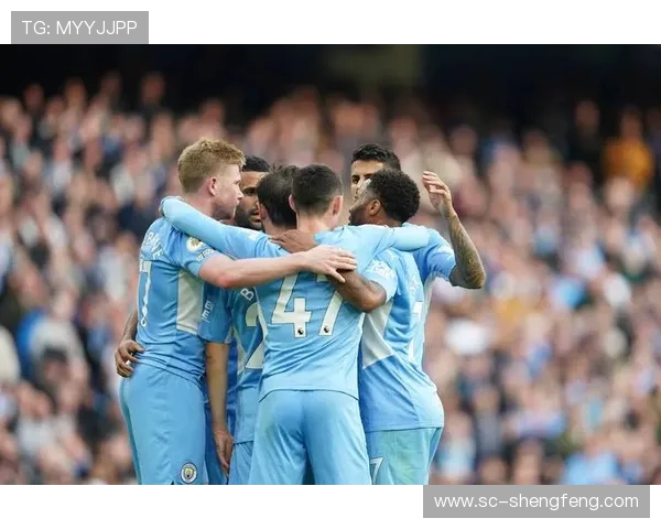 莱切斯特城足球俱乐部在英超联赛中的表现解析